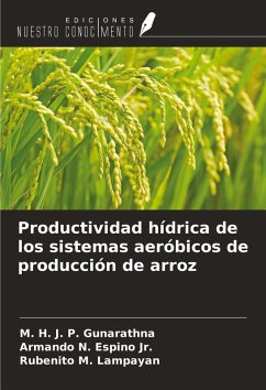 Cover Productividad hídrica de los sistemas aeróbicos de producción de arroz