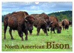 North American Bison (Wall Calendar 2025 DIN A4 landscape), CALVENDO 12 Month Wall Calendar