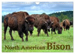 North American Bison (Wall Calendar 2025 DIN A4 landscape), CALVENDO 12 Month Wall Calendar - Wilczek, Dieter