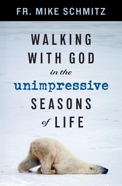 Walking with God in the Unimpressive Seasons of Life - Schmitz, Fr. Mike