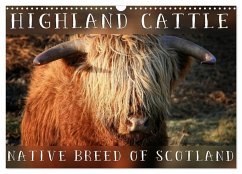 Highland Cattle - Native Breed of Scotland (Wall Calendar 2025 DIN A3 landscape), CALVENDO 12 Month Wall Calendar - Cross, Martina