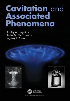 Cavitation and Associated Phenomena - Biryukov, Dmitry; Gerasimov, Denis; Yurin, Eugeny