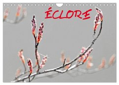 ÉCLORE (Calendrier mural 2025 DIN A4 vertical), CALVENDO calendrier mensuel