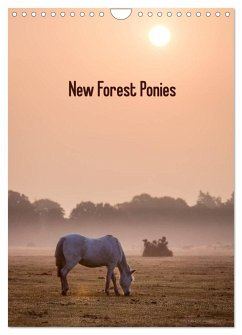 New Forest Ponies (Wall Calendar 2025 DIN A4 portrait), CALVENDO 12 Month Wall Calendar