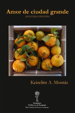 Cover AMOR DE CIUDAD GRANDE (Segunda edición)