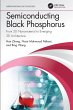 Semiconducting Black Phosphorus - Bild 1
