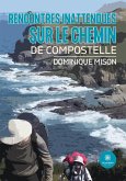 Rencontres inattendues sur le chemin de Compostelle