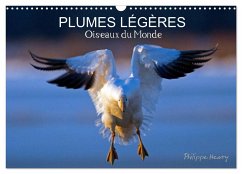 PLUMES LÉGÈRES. Oiseaux du Monde (Calendrier mural 2025 DIN A3 vertical), CALVENDO calendrier mensuel