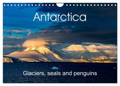 Antarctica Glaciers, seals and penguins (Wall Calendar 2025 DIN A4 landscape), CALVENDO 12 Month Wall Calendar