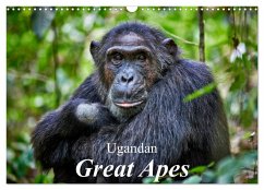 Ugandan Great Apes (Wall Calendar 2025 DIN A3 landscape), CALVENDO 12 Month Wall Calendar - Ritterbach, Juergen