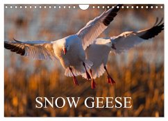 SNOW GEESE (Wall Calendar 2025 DIN A4 landscape), CALVENDO 12 Month Wall Calendar