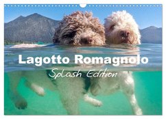 Lagotto Romagnolo Splash Edition (Wall Calendar 2025 DIN A3 landscape), CALVENDO 12 Month Wall Calendar