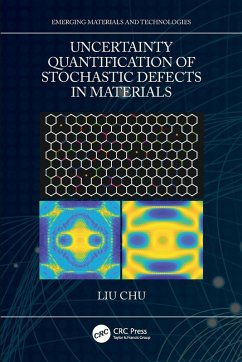 Uncertainty Quantification of Stochastic Defects in Materials - Chu, Liu