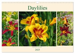 Daylilies - Delicate Beauties of the Summer (Wall Calendar 2025 DIN A3 landscape), CALVENDO 12 Month Wall Calendar - LianeM, LianeM