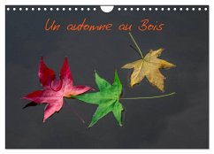 Un automne au Bois (Calendrier mural 2025 DIN A4 vertical), CALVENDO calendrier mensuel