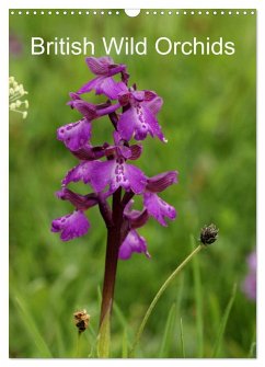 British Wild Orchids (Wall Calendar 2025 DIN A3 portrait), CALVENDO 12 Month Wall Calendar - Bodhyfryd, Bodhyfryd