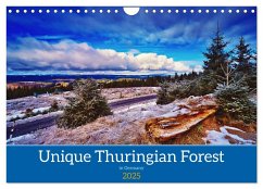Unique Thuringian Forest (Wall Calendar 2025 DIN A4 landscape), CALVENDO 12 Month Wall Calendar