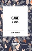 Cane A Novel