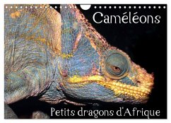 Caméléons - Petits dragons d'Afrique. (Calendrier mural 2025 DIN A4 vertical), CALVENDO calendrier mensuel