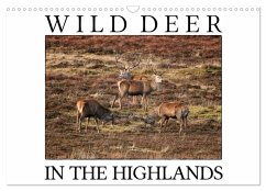 Wild Deer In The Highlands (Wall Calendar 2025 DIN A3 landscape), CALVENDO 12 Month Wall Calendar - Cross, Martina