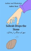 Sohrab Drops the Stone