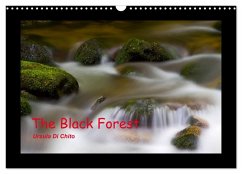 The Black Forest - UK Version (Wall Calendar 2025 DIN A3 landscape), CALVENDO 12 Month Wall Calendar