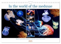 In the world of the medusae (Wall Calendar 2025 DIN A4 landscape), CALVENDO 12 Month Wall Calendar