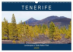 Tenerife - Landscapes of Teide National Park (Wall Calendar 2025 DIN A3 landscape), CALVENDO 12 Month Wall Calendar