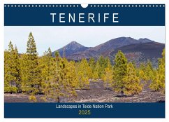 Tenerife - Landscapes of Teide National Park (Wall Calendar 2025 DIN A3 landscape), CALVENDO 12 Month Wall Calendar - Calvendo;Frost, Anja