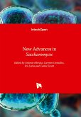 New Advances in Saccharomyces