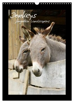 Donkeys - forgotten landscapers (Wall Calendar 2025 DIN A3 portrait), CALVENDO 12 Month Wall Calendar - Trapp, Benny