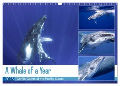 A Whale of a Year (Wall Calendar 2025 DIN A3 landscape), CALVENDO 12 Month Wall Calendar