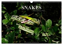 SNAKES / UK-Version (Wall Calendar 2025 DIN A3 landscape), CALVENDO 12 Month Wall Calendar
