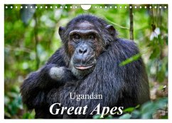 Ugandan Great Apes (Wall Calendar 2025 DIN A4 landscape), CALVENDO 12 Month Wall Calendar