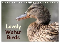 Lovely Water Birds (Wall Calendar 2025 DIN A4 landscape), CALVENDO 12 Month Wall Calendar