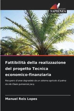 Fattibilità della realizzazione del progetto Tecnica economico-finanziaria - Reis Lopes, Manuel