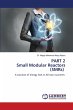 PART 2 Small Modular Reactors (SMRs) - Bild 1