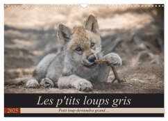 Les p'tits loups gris (Calendrier mural 2025 DIN A3 vertical), CALVENDO calendrier mensuel