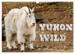 Yukon Wild (Wall Calendar 2025 DIN A3 landscape), CALVENDO 12 Month Wall Calendar