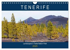 Tenerife - Landscapes of Teide National Park (Wall Calendar 2025 DIN A4 landscape), CALVENDO 12 Month Wall Calendar