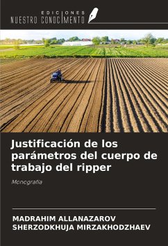 Cover Justificación de los parámetros del cuerpo de trabajo del ripper