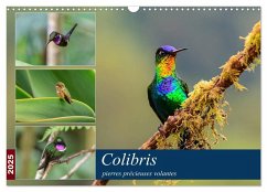 Colibris - pierres précieuses volantes (Calendrier mural 2025 DIN A3 vertical), CALVENDO calendrier mensuel