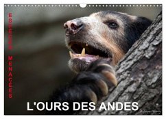 L'OURS DES ANDES. Espèces Menacées (Calendrier mural 2025 DIN A3 vertical), CALVENDO calendrier mensuel