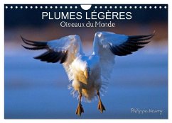 PLUMES LÉGÈRES. Oiseaux du Monde (Calendrier mural 2025 DIN A4 vertical), CALVENDO calendrier mensuel