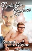 Forbidden Rapture: Bound to the Divine (Angelic Romances) (eBook, ePUB)