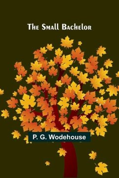 The small bachelor - Wodehouse, P G