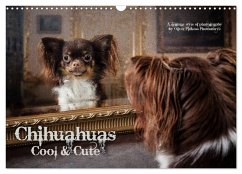 Chihuahuas - Cool & Cute / UK-Version (Wall Calendar 2025 DIN A3 landscape), CALVENDO 12 Month Wall Calendar