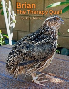 Cover Brian The Therapy Quail