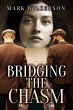 Bridging The Chasm - Bild 1