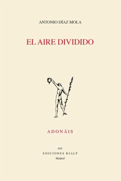 Cover El aire dividido